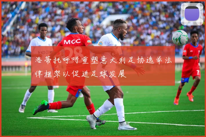 洛蒂托呼吁重塑意大利足协选举法律框架以促进足球发展